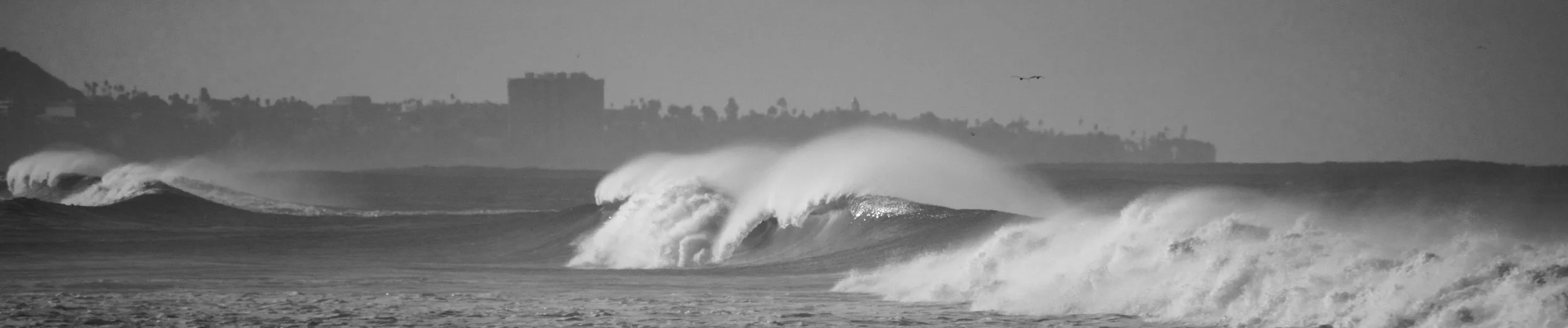 DSC_0984.jpg