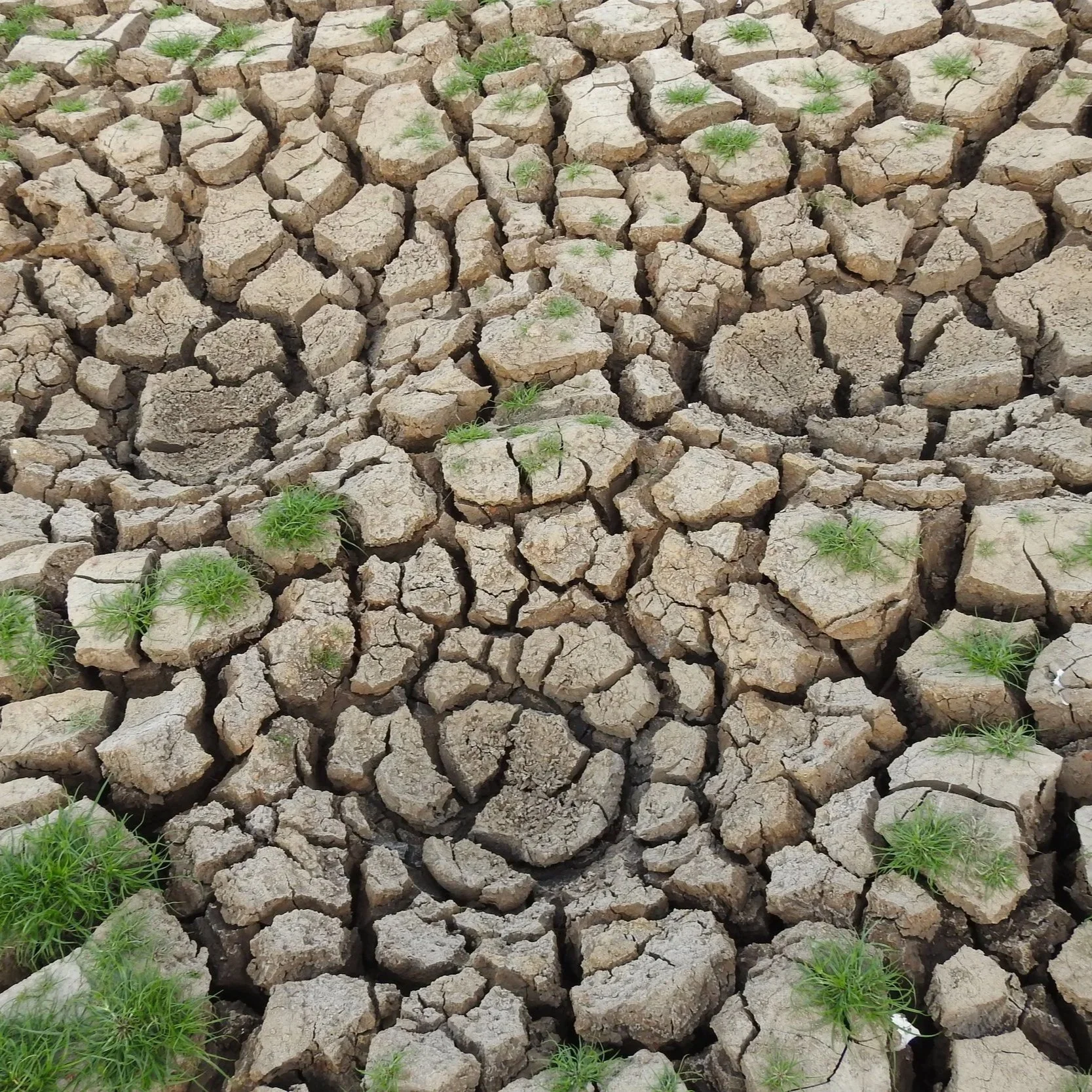 The Same Storm, With Different Outcomes: El Niño and Climate Injustice