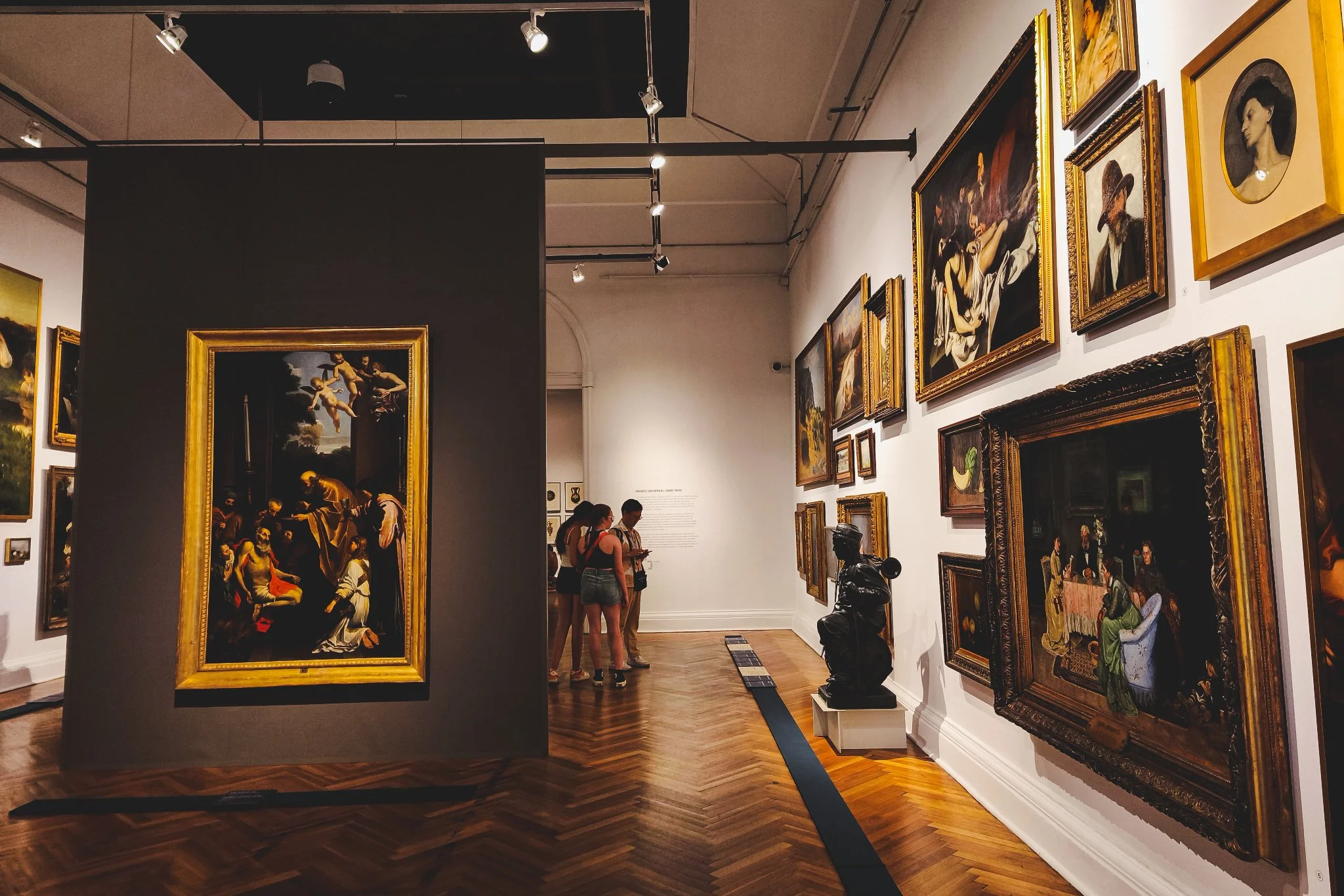 Museums (fine arts + history)