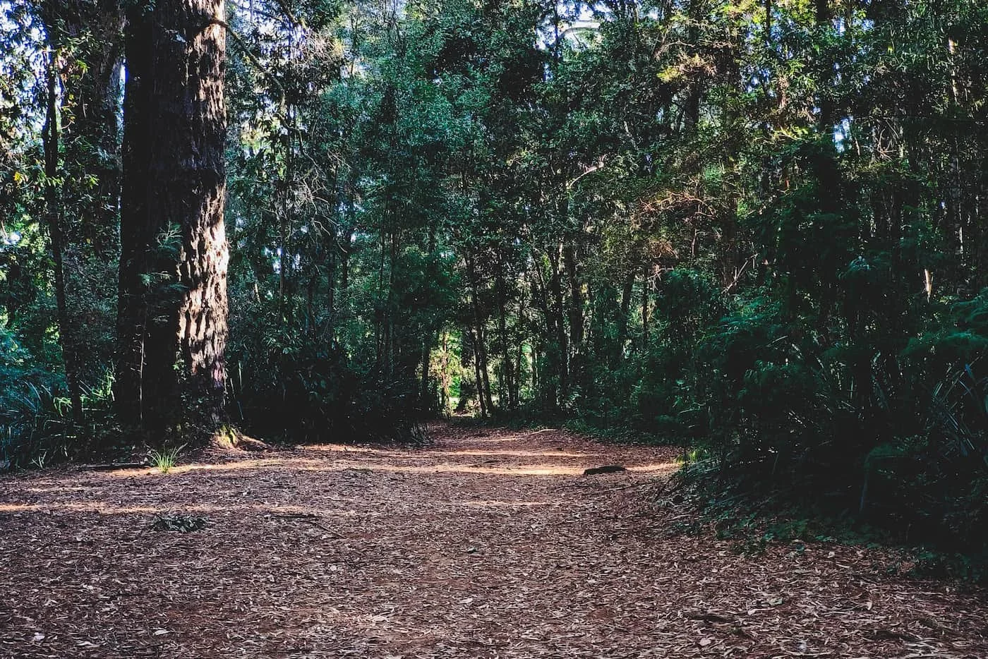 Isla Teja parks, gardens, cafés