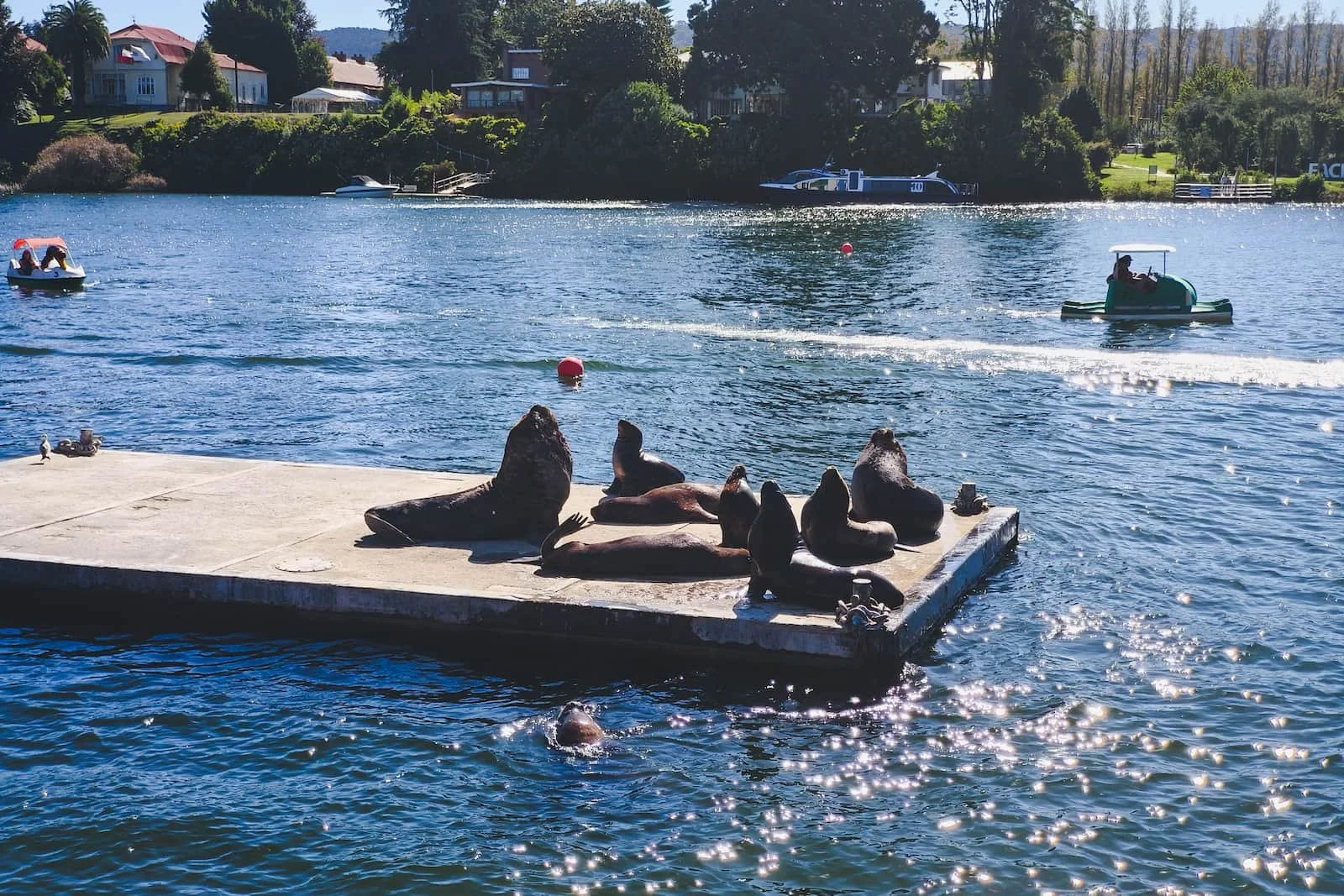 Riverfront markets, promenades, and downtown