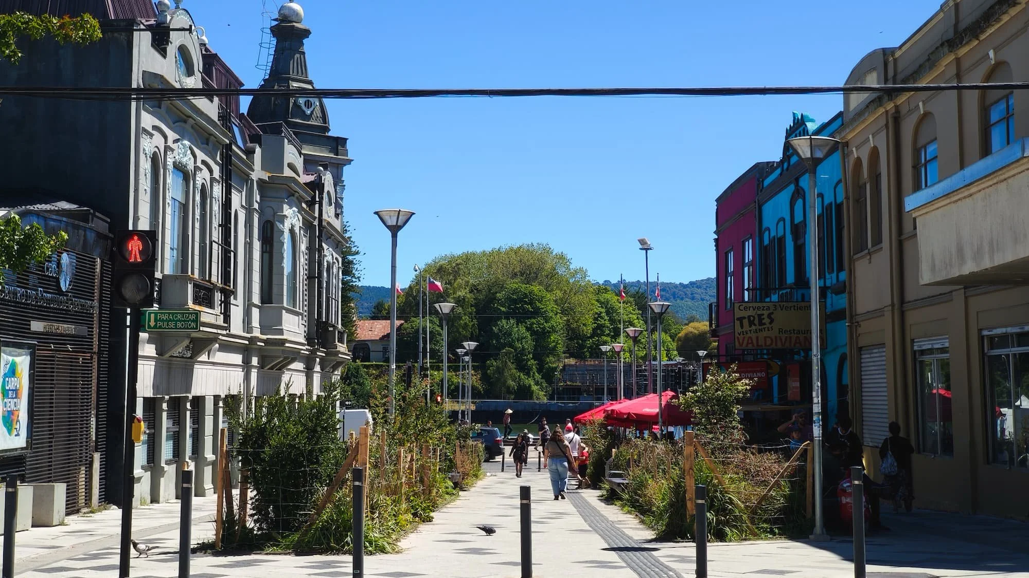 Valdivia, Chile: How to Get There + Plan an Easy, Walkable Trip