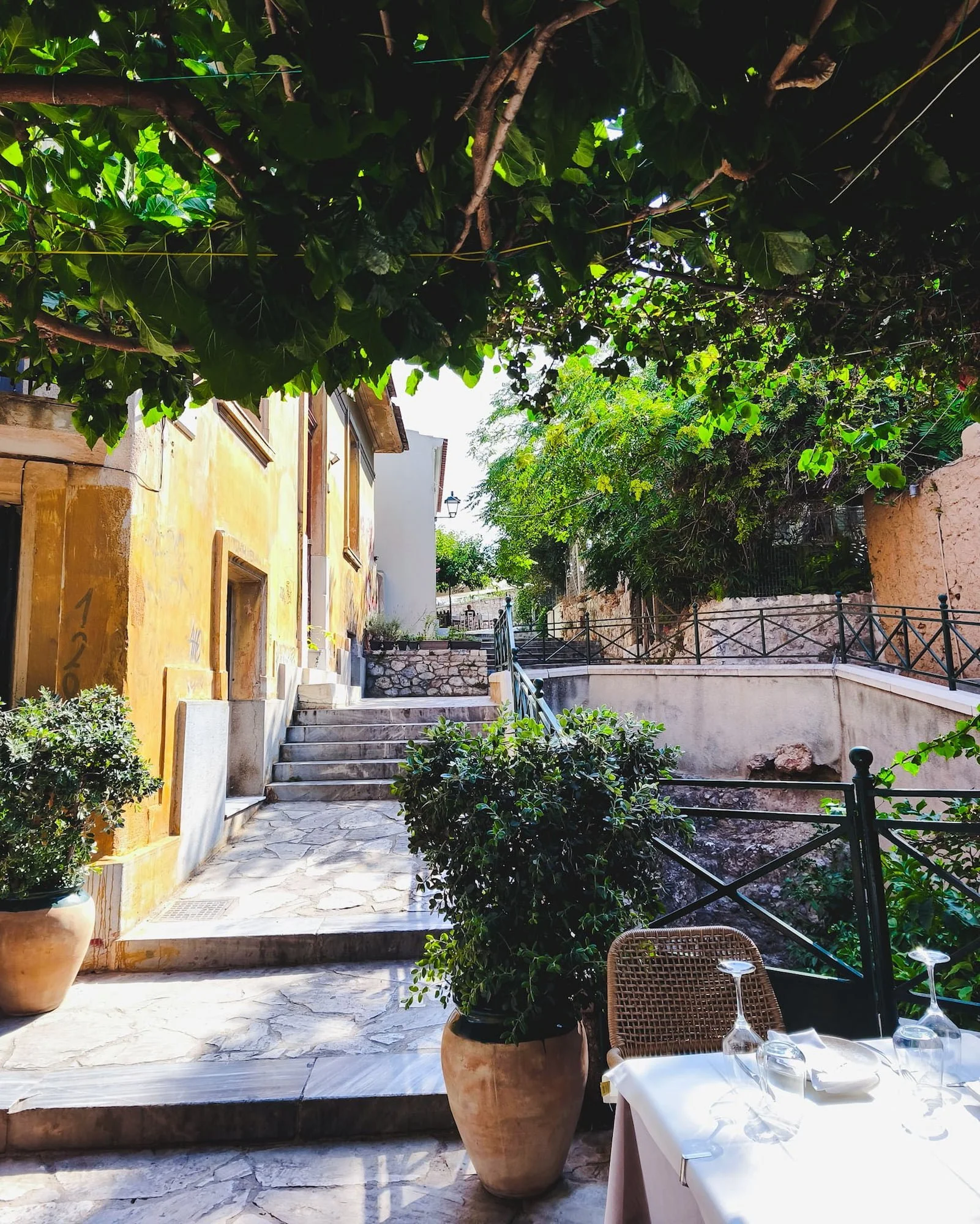 cafe-steps-athens-greece.jpg
