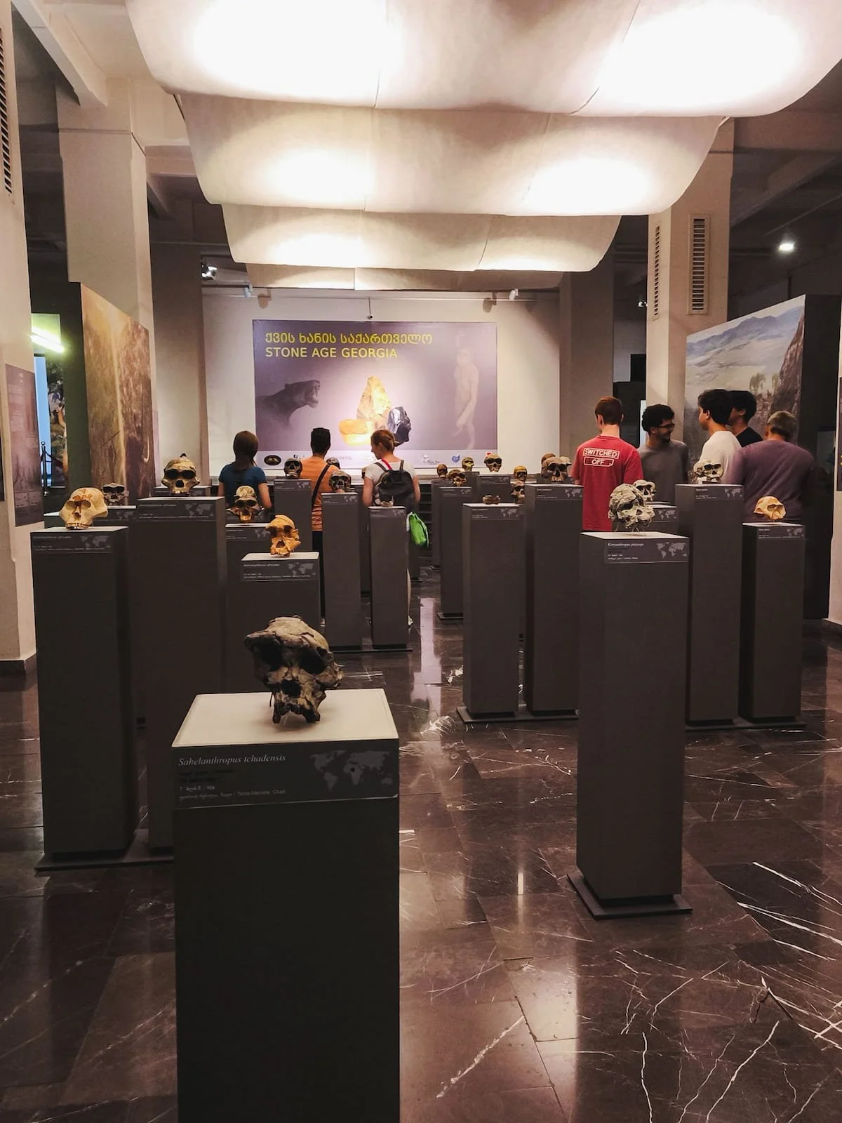Stone Age exhibit