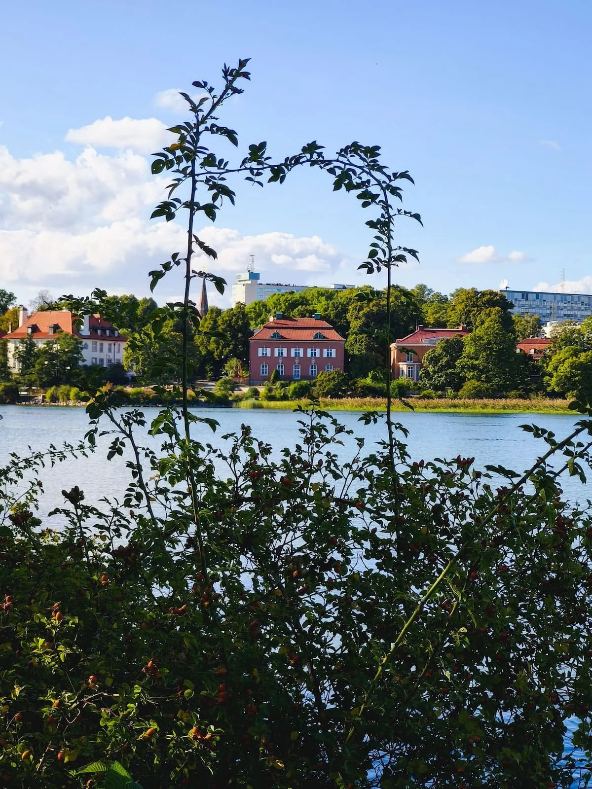 Waterfront path view