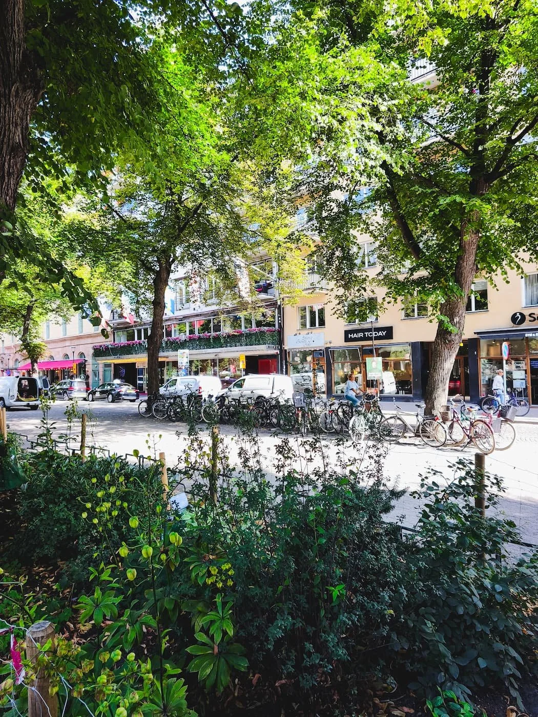 Mariatorget surroundings