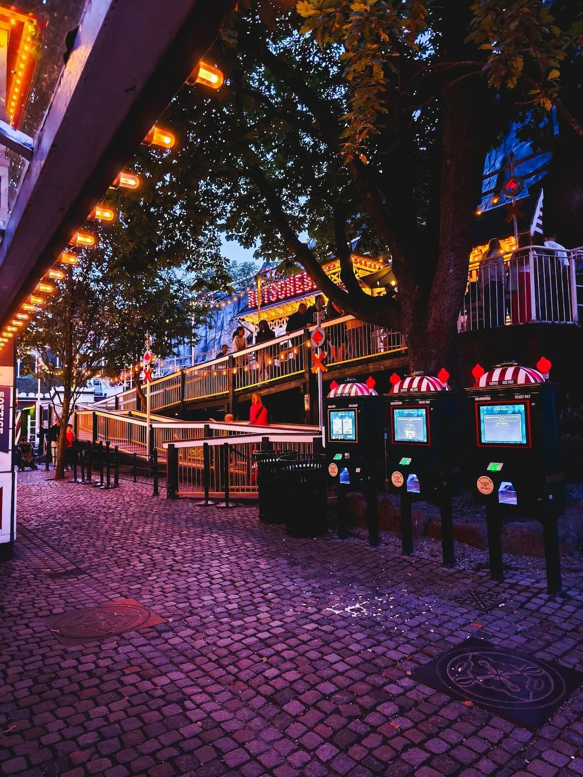 tivoli-gardens-evening-ride.jpg