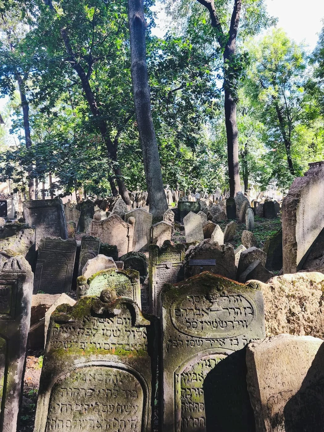Old Jewish Cemetery
