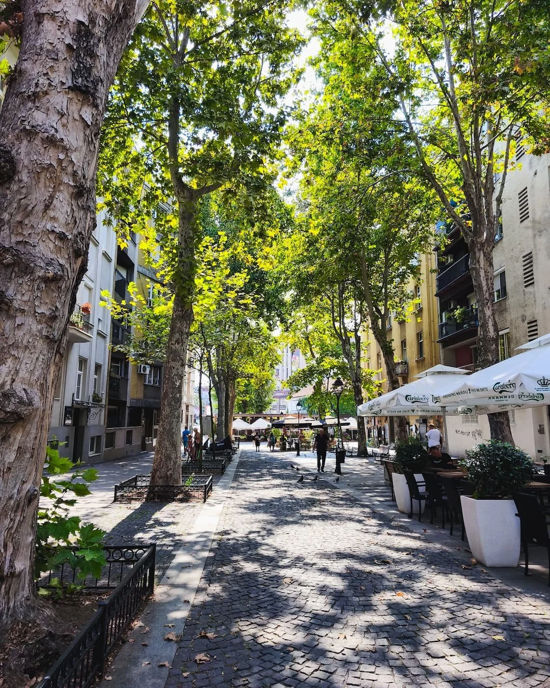 Cobblestoned Skadarska Street with outdoor restaurants in Skadarlija