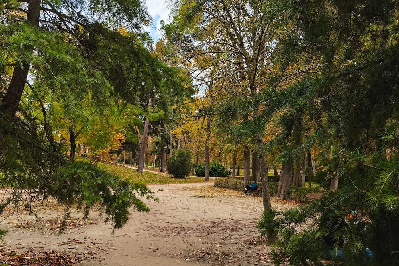 Tree-lined walking path inside Retiro Park in Madrid.