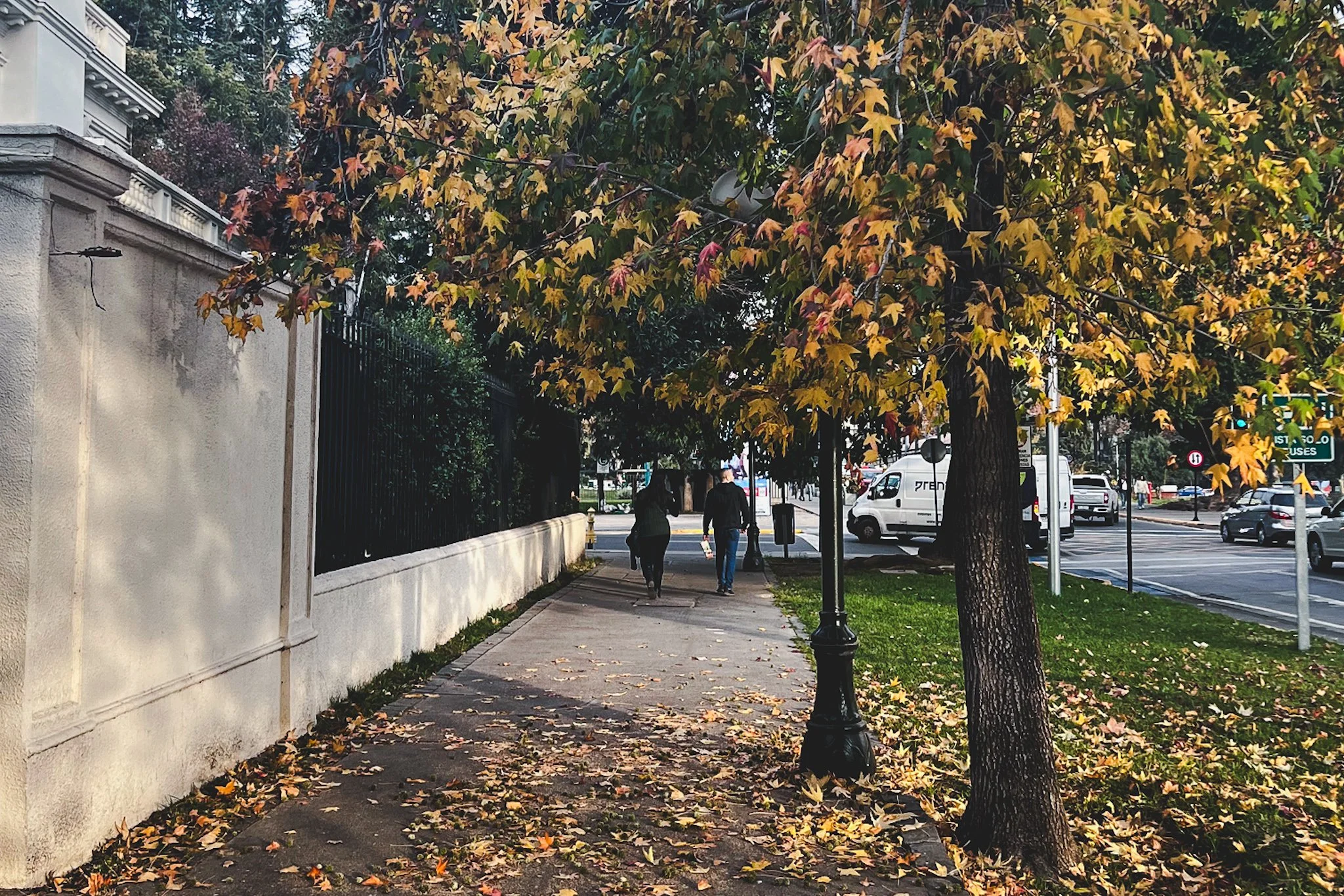 Tree-lined sidewalk in Providencia, Santiago, with wide pedestrian paths and residential buildings.