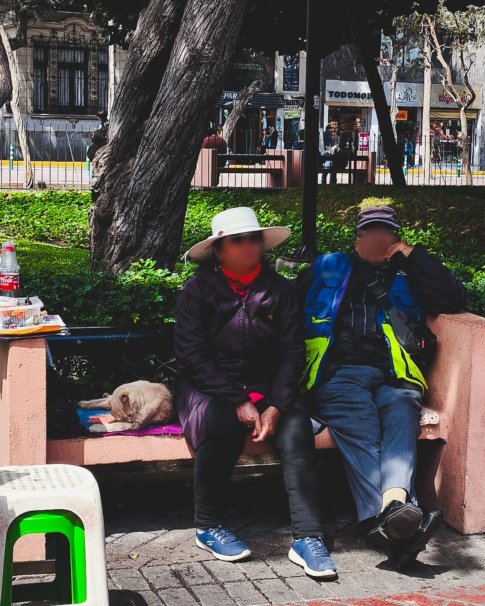 Cats chilling with locals.