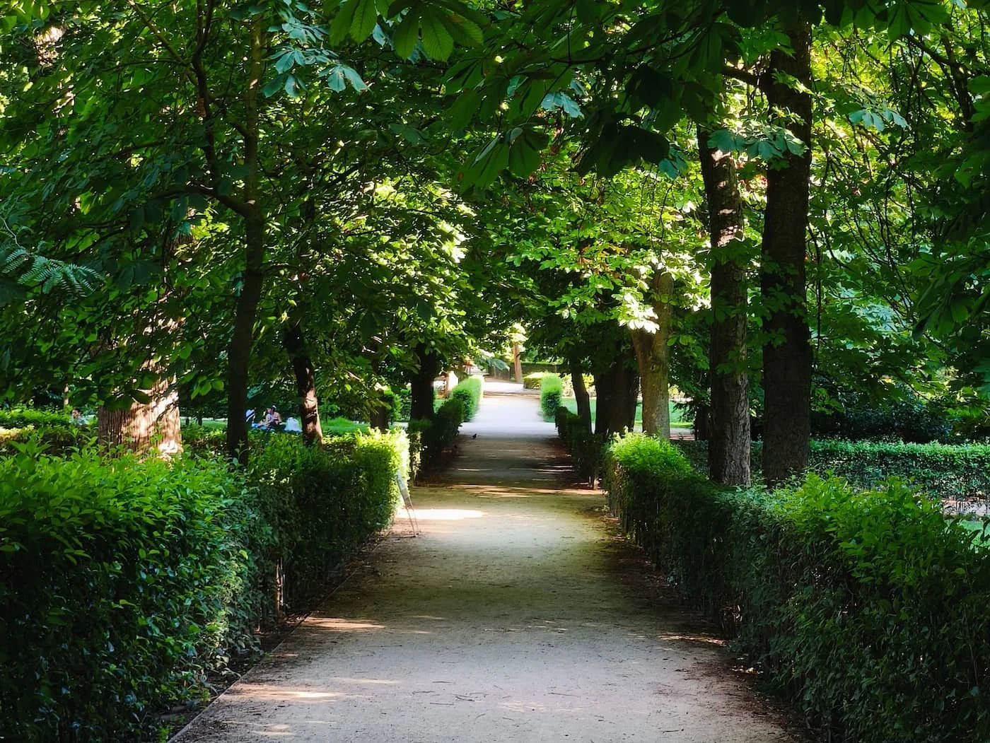 Tree-lined path in Retiro Park in Madrid, a convenient area for running and walking.