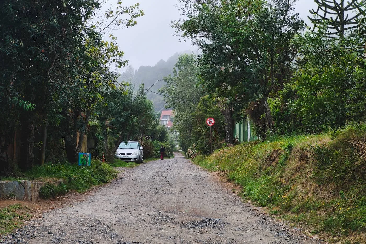 Foggy road in Niebla near Valdivia, Chile