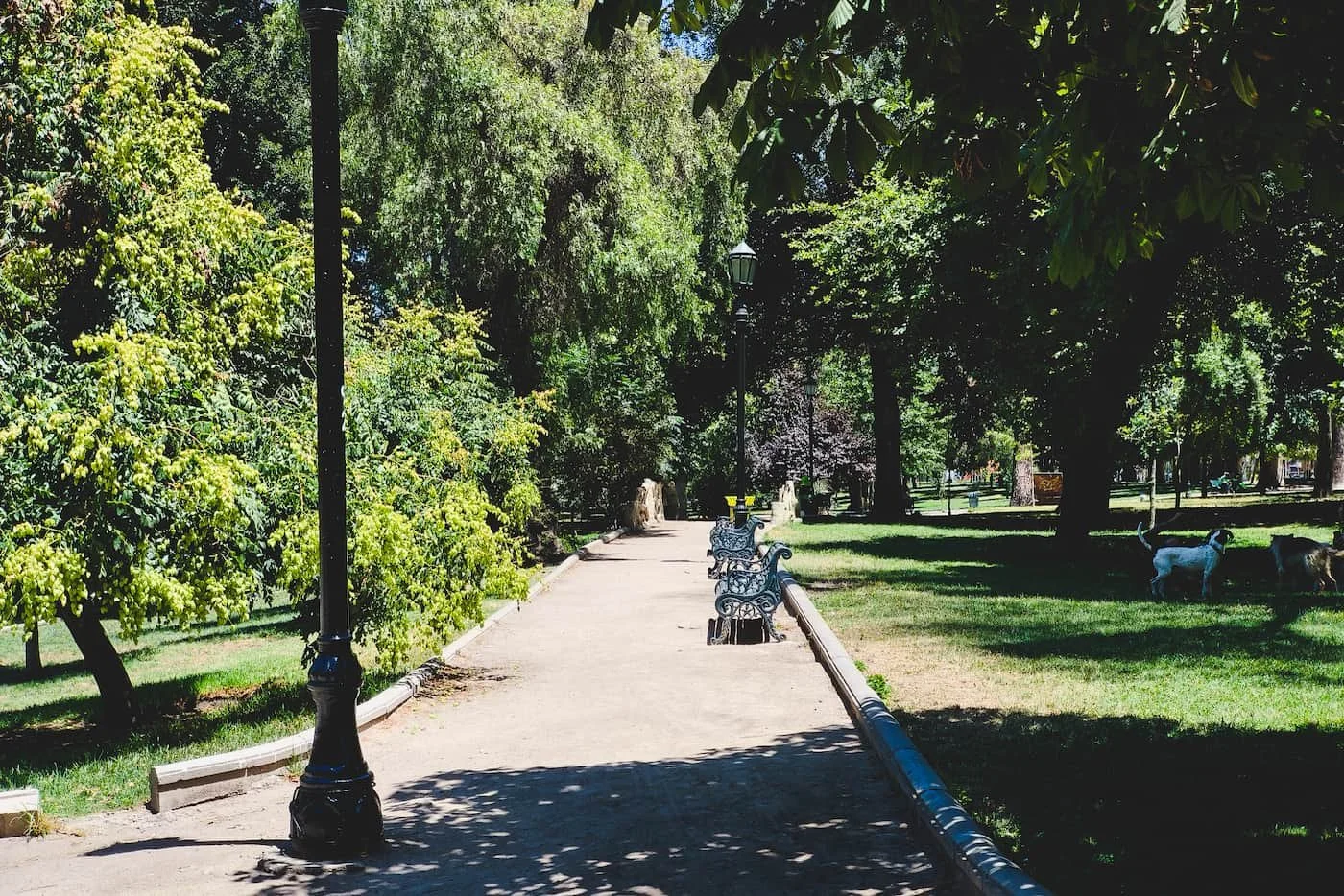 Path in Parque Forestal.