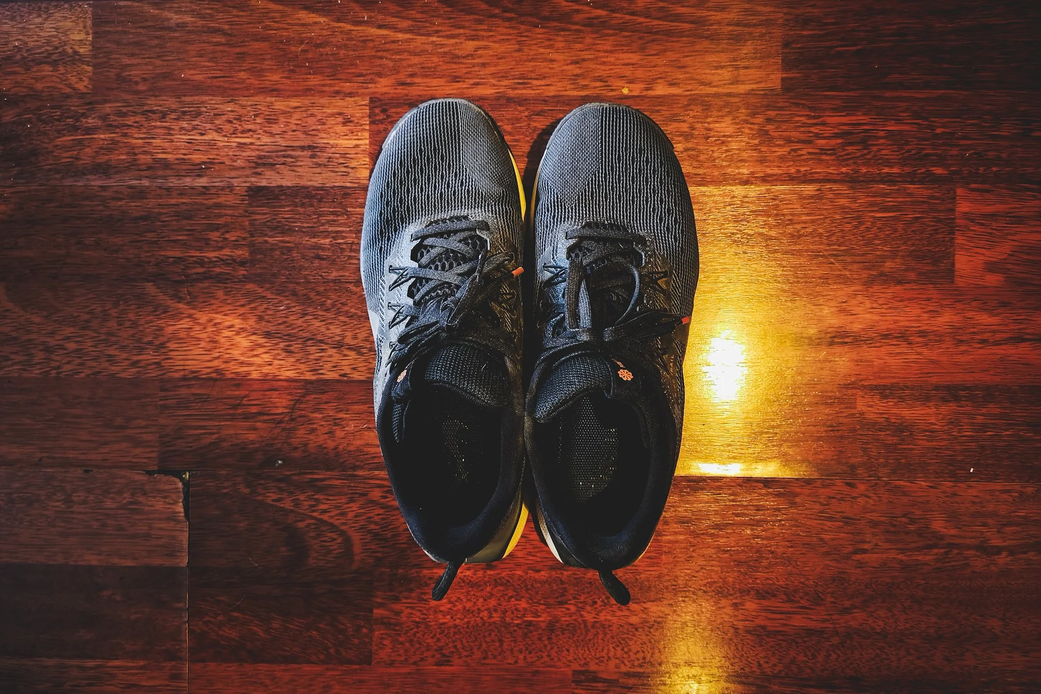 Nike Pegasus Trail Running Shoes.