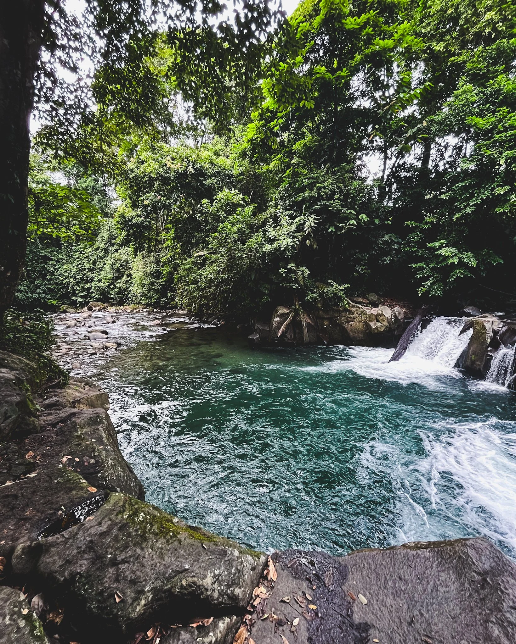 Pond with waterfall in Arenal, Costa Rica.