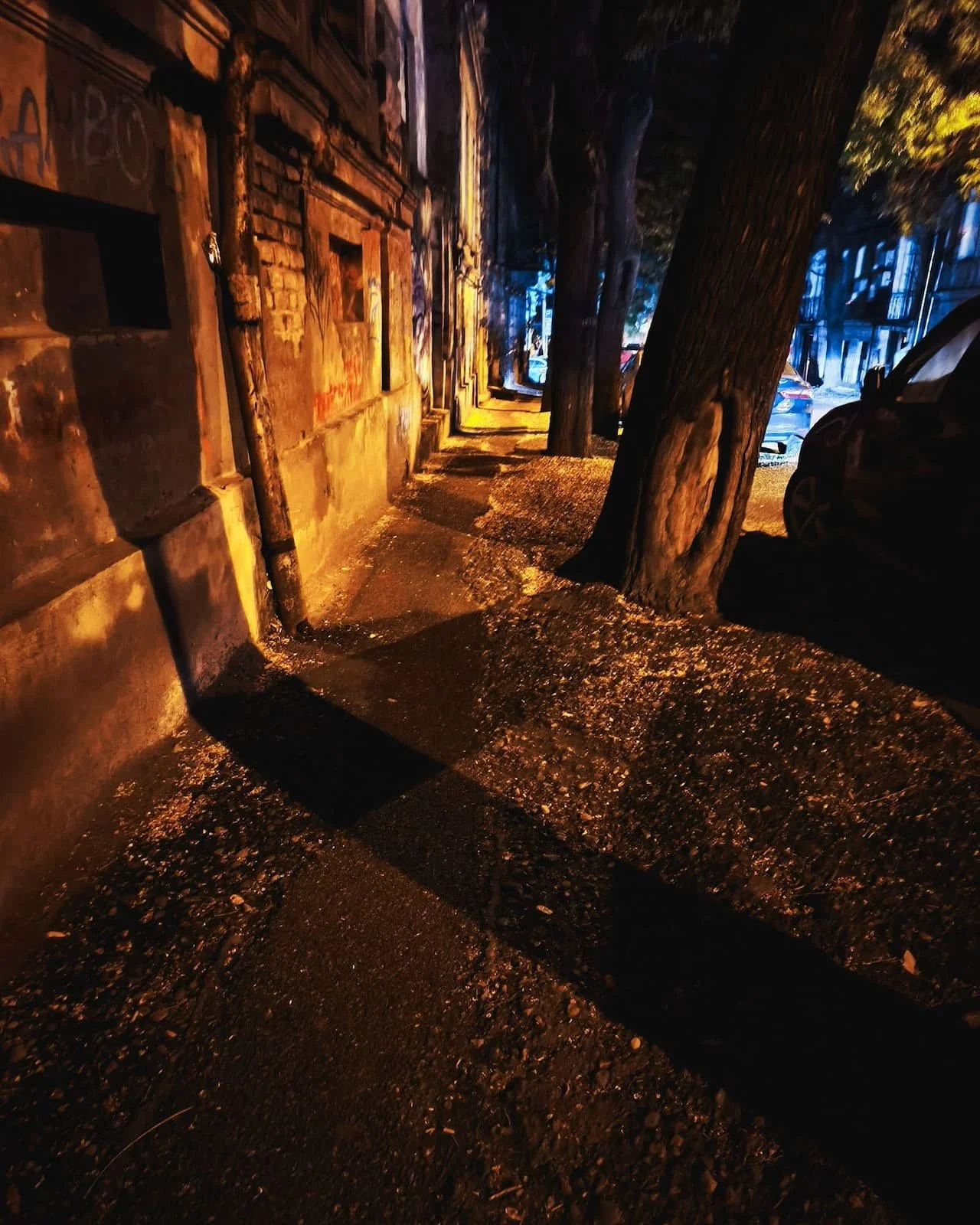 Narrow, uneven sidewalk around large trees in Tbilisi at night