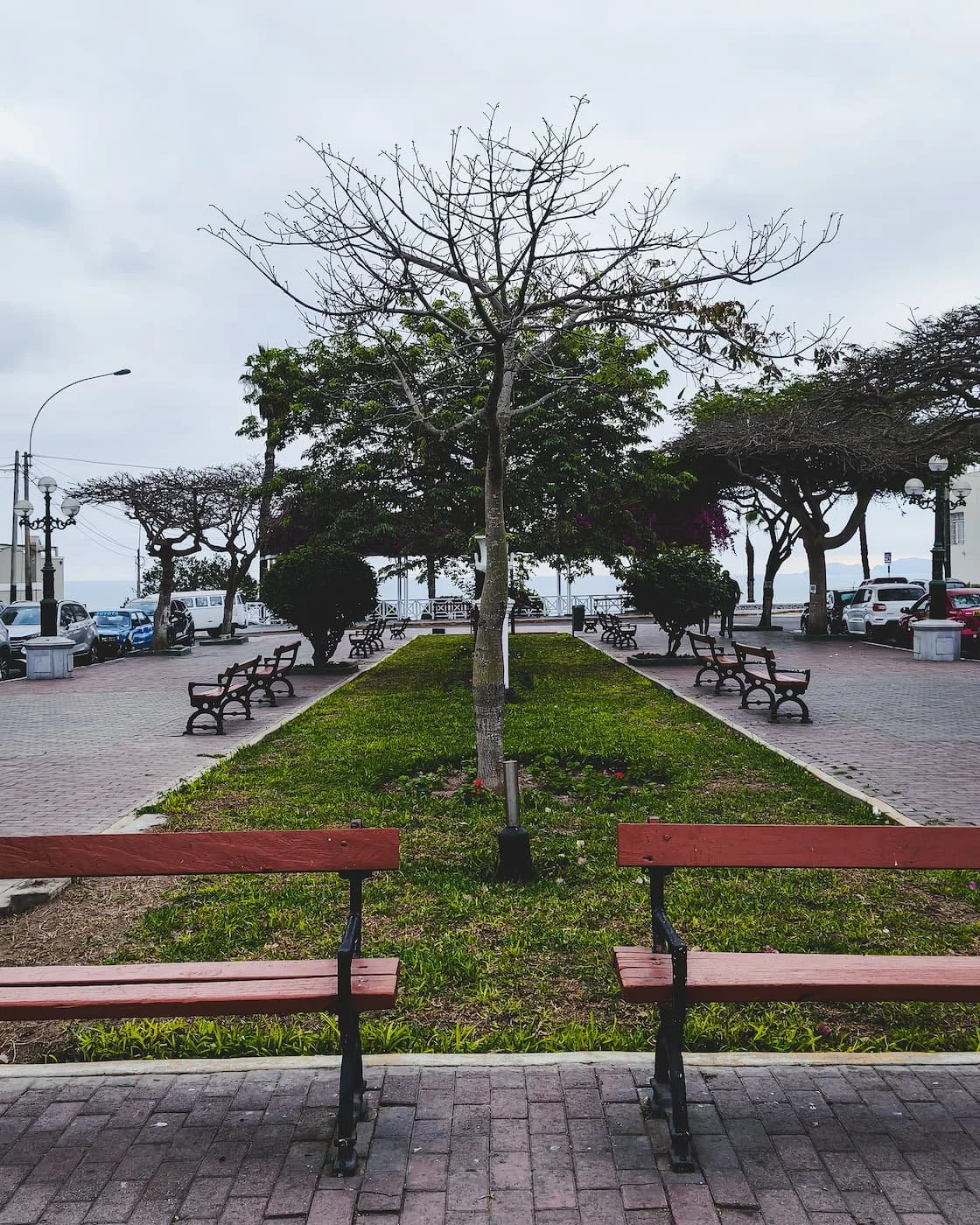 Alameda Sáenz Peña