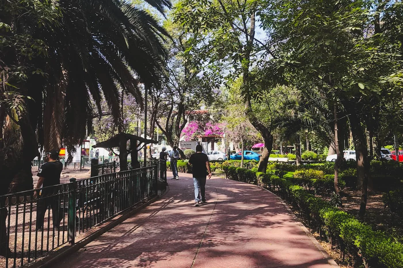 Street scene in Condesa, Mexico City showing walkable neighborhood with easy access to sights