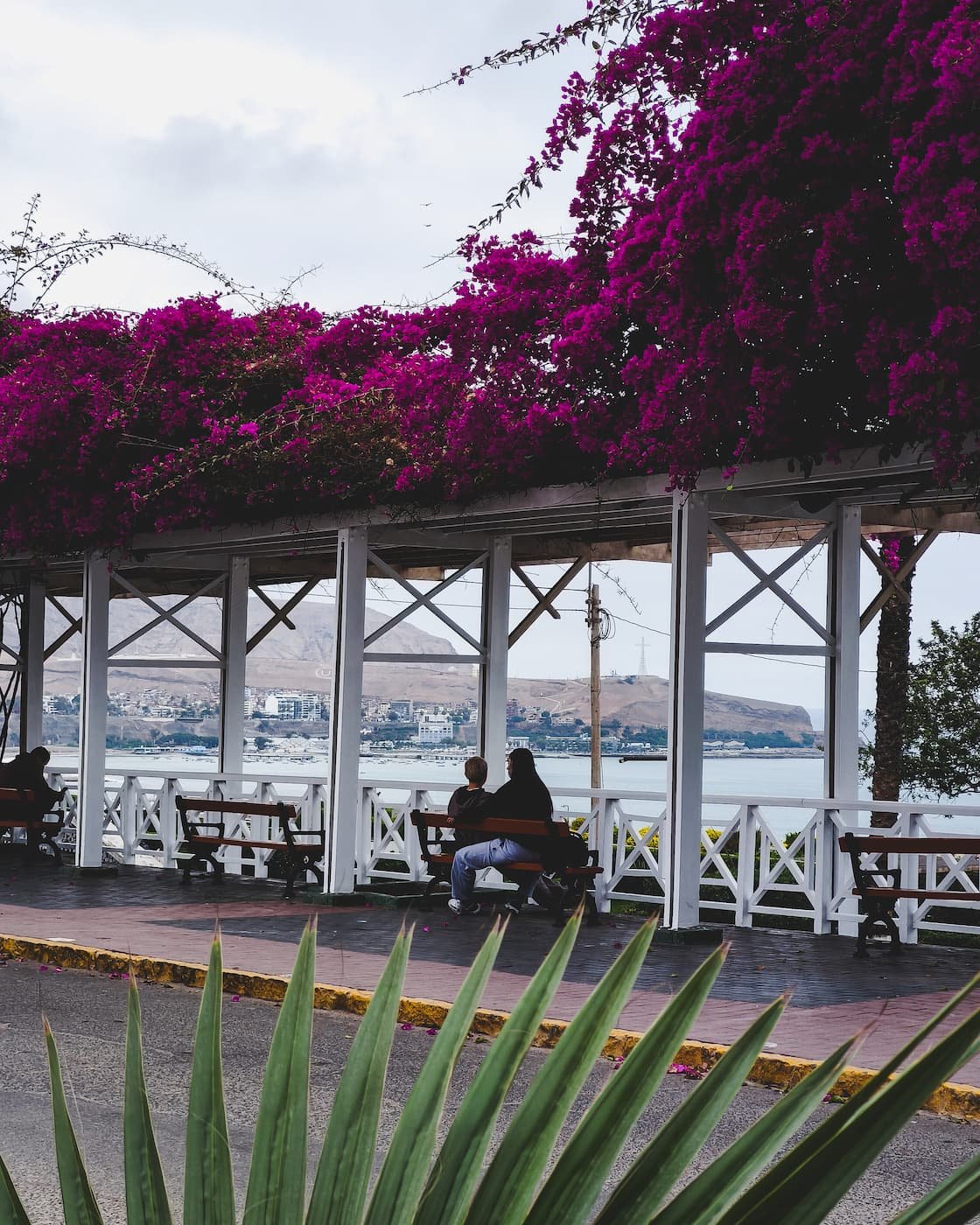 End of Alameda Sáenz Peña.