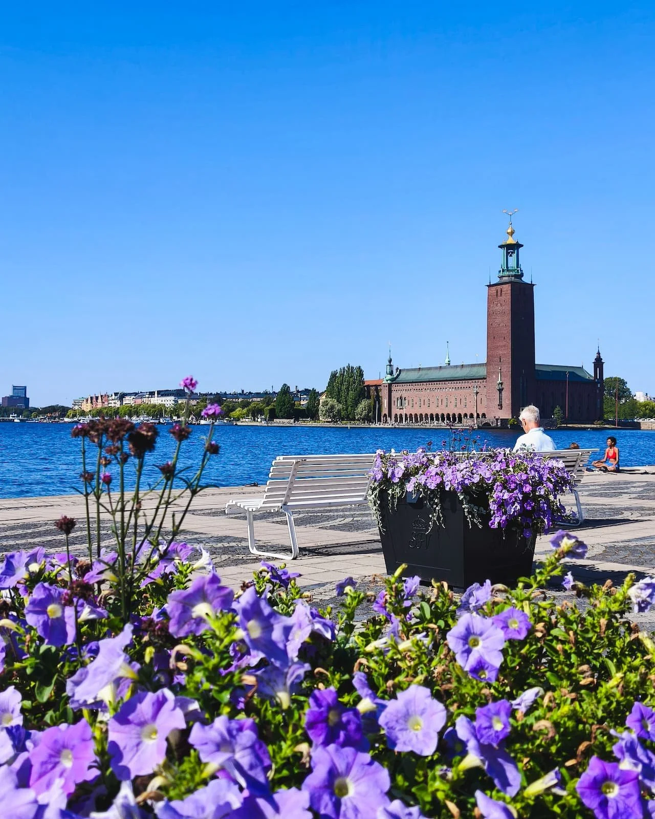 Stockholm City Hall seen across the water from Riddarholmen
