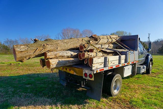 How much cedar fits in your truck bed? #goodpeople #goodwork #chopnashville