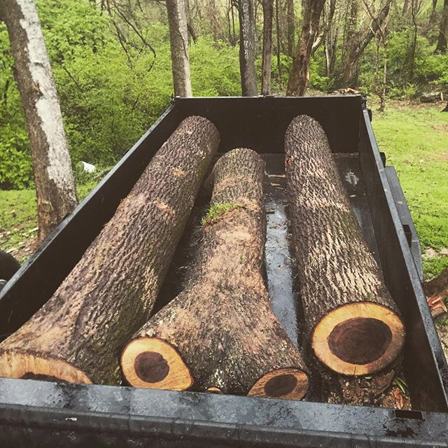 This tree was a landmark on a Tennessee family farm and will become furniture for the family.  Glad we can help preserve history. Otherwise, the tree would have been cleared for development. #goodpeople #goodwork #chopnashville