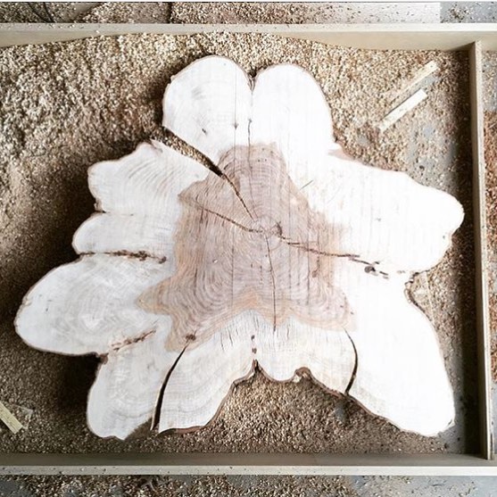 @sow_studio is working on this monster pecan cookie we provided for a collaboration on turning TN trees into useful art. Can't wait to this wearing bow ties and legs. #goodpeople #goodwork #chopnashville