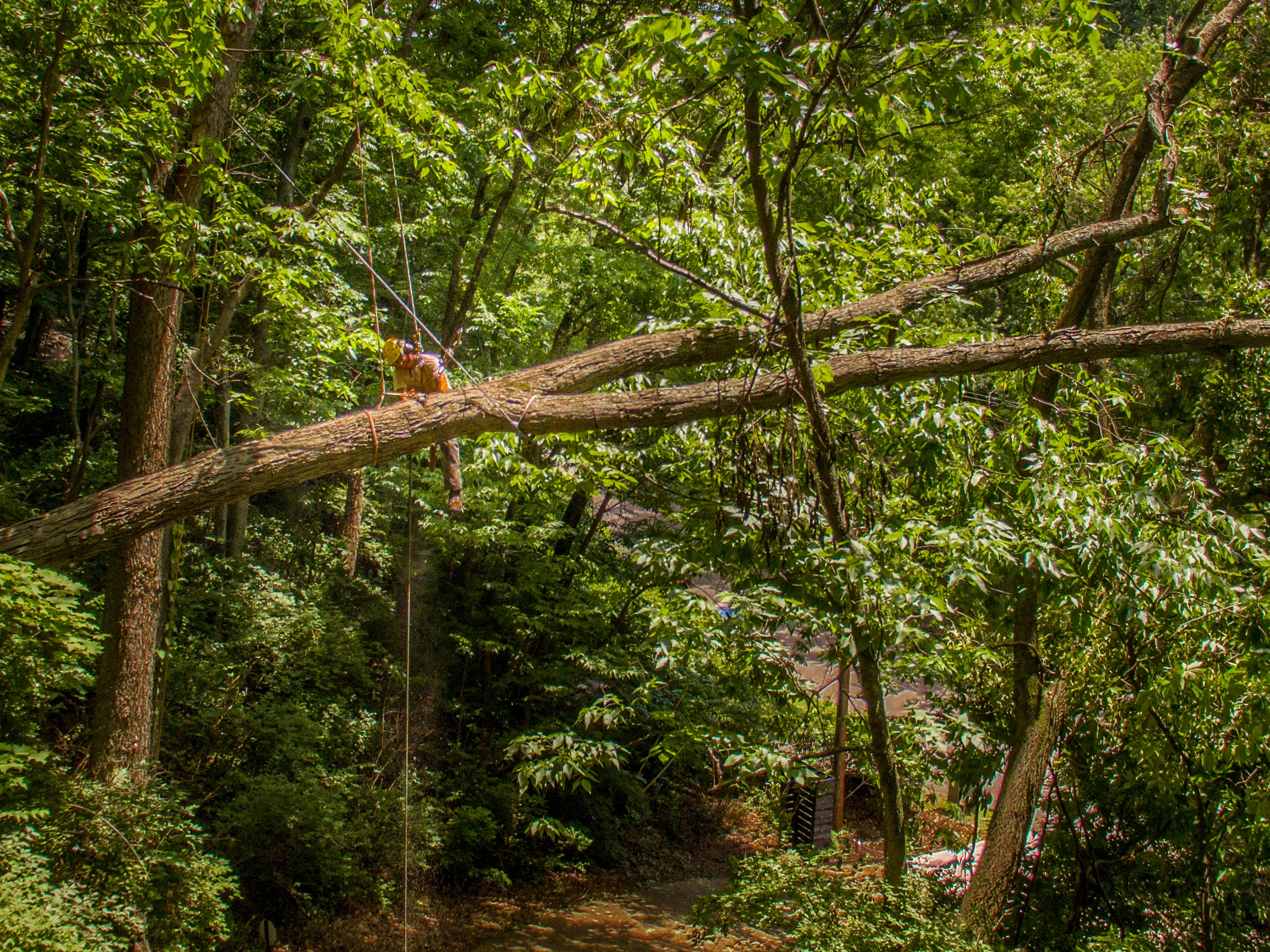 Storm Damage Rope Work