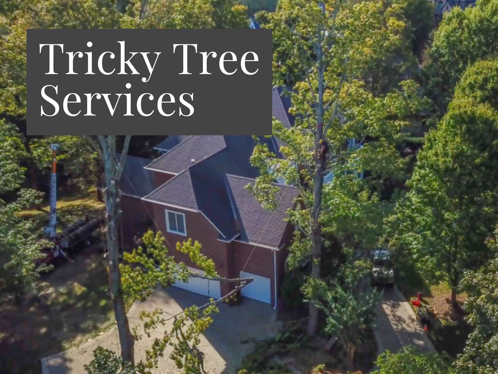 Tree Services Nashville