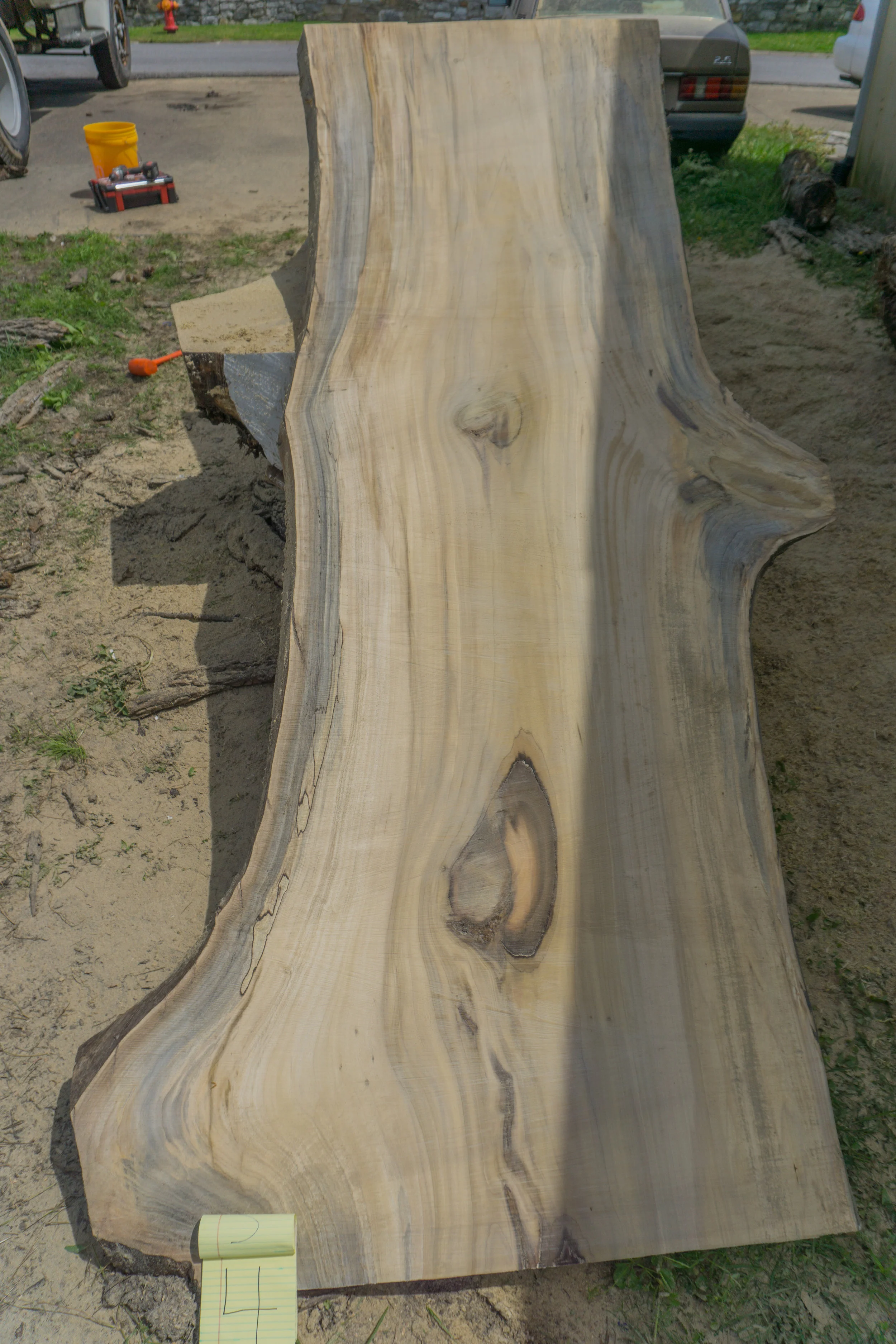 Poplar Slab