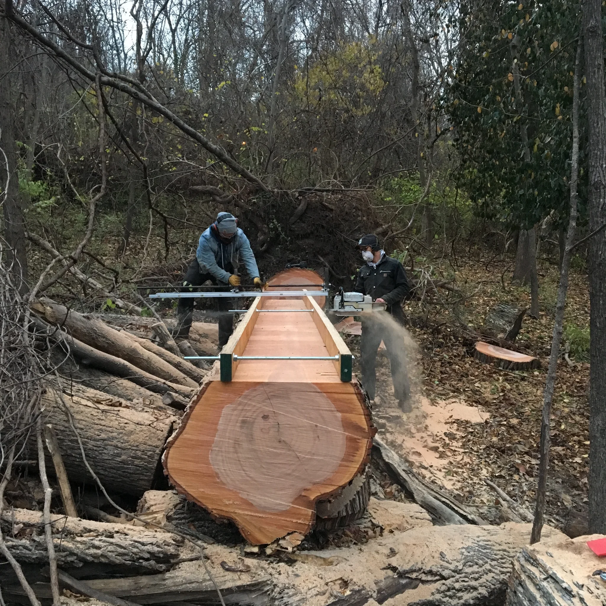 Salvage and Milling — Chop Nashville Tree Service