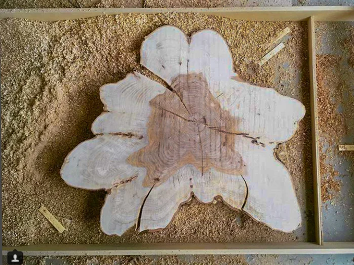 Flattening a Pecan Cookie