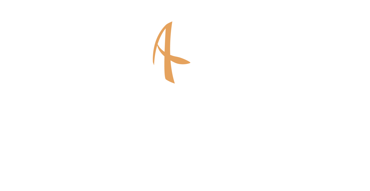 Active Impact International