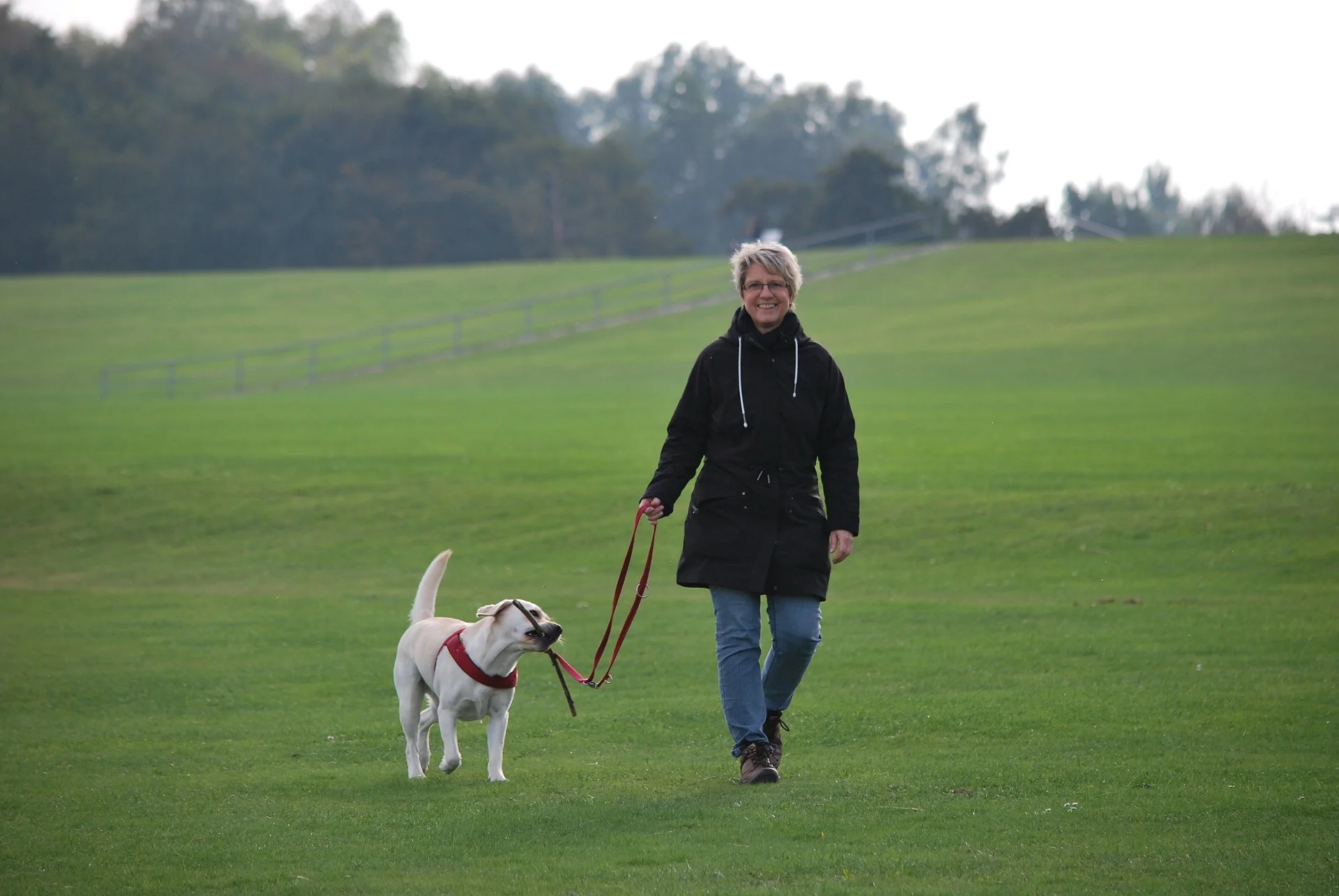 walking-1766151_1920.jpg