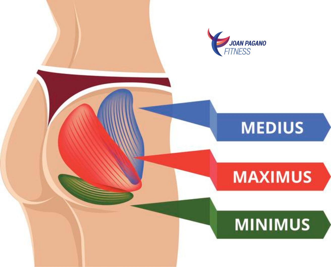 gluteus medius exercises