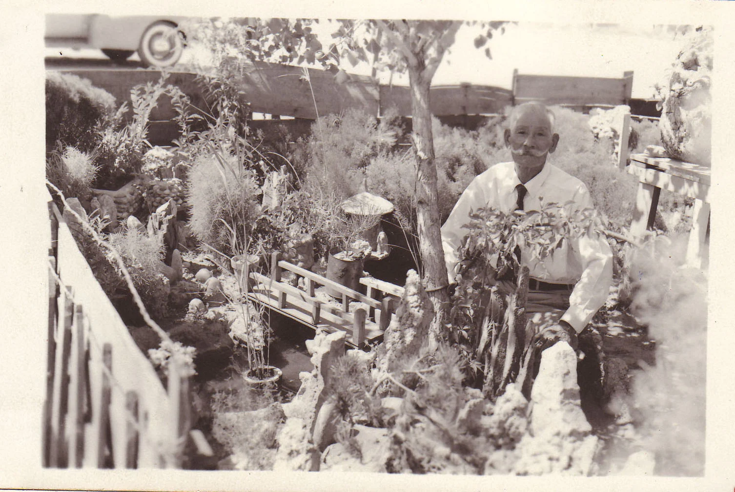 An internee and his ornamental garden at Camp Amache in Granada, Col. during World War II.