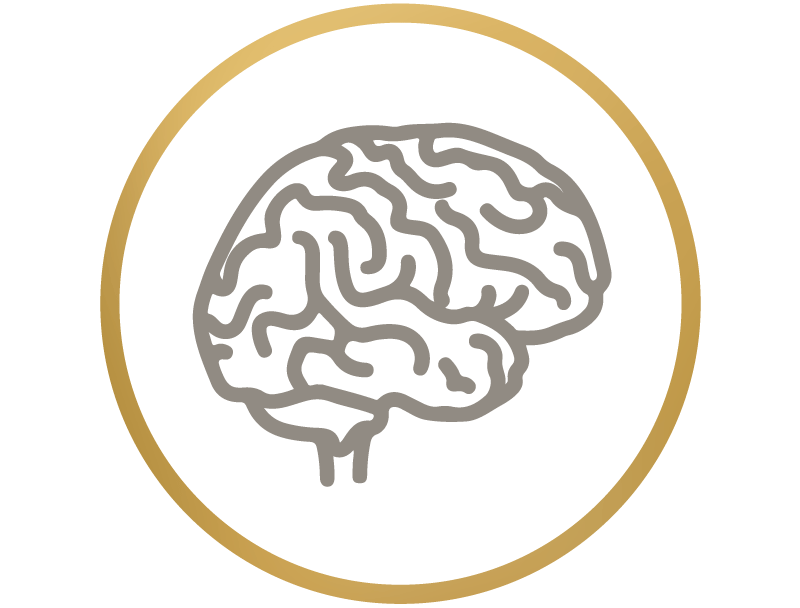 Neurotransmitters.png