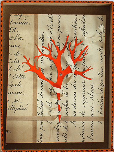 Tree Box 13.jpg