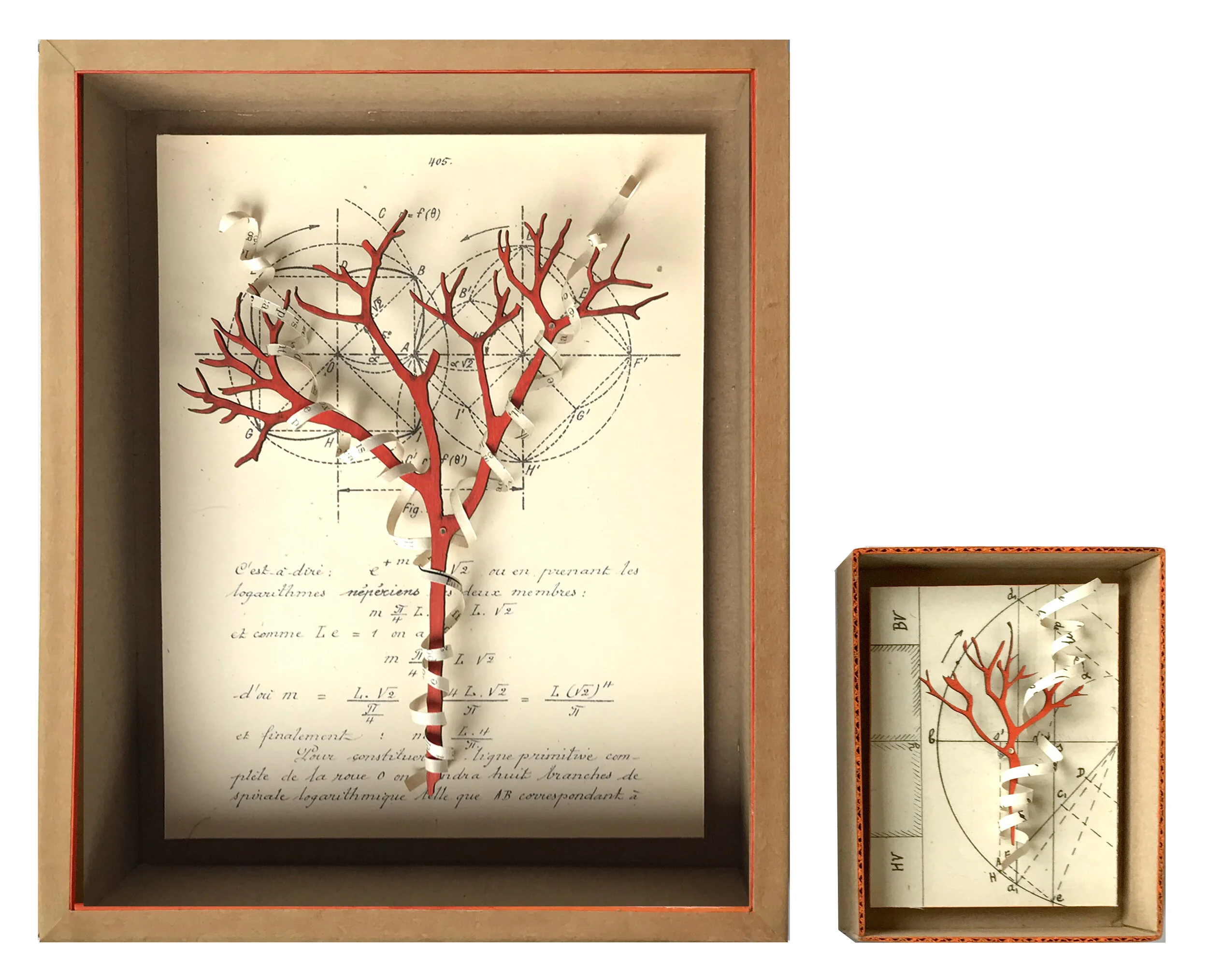 Tree Boxes comparative.jpg