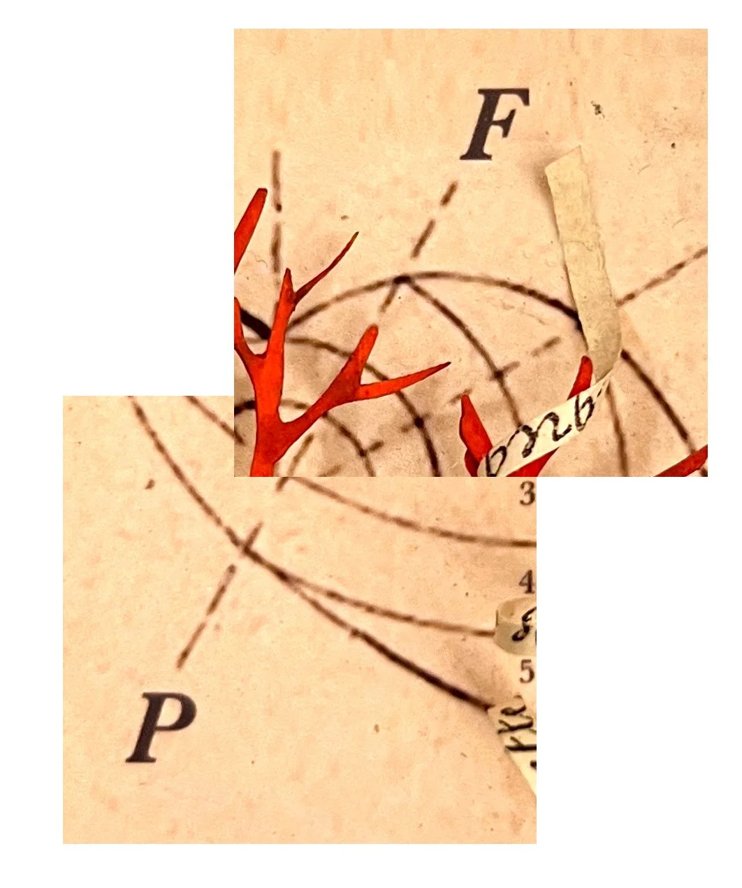 Valentine detail.jpeg