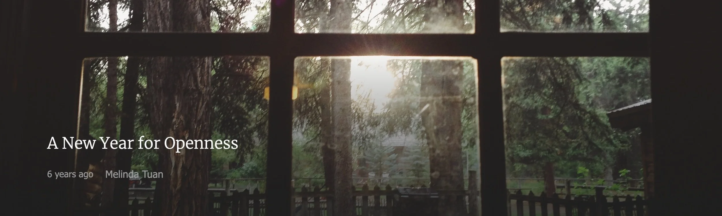 A New Year For Openness