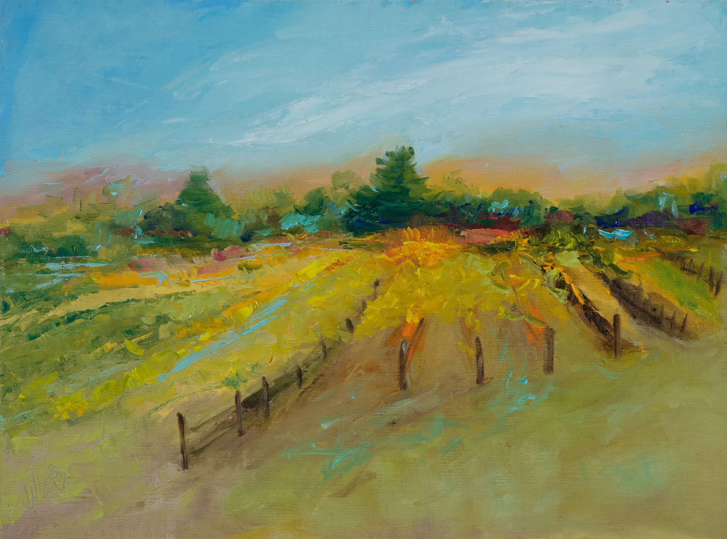"Sunset on the Vines" -- 12x16 inch