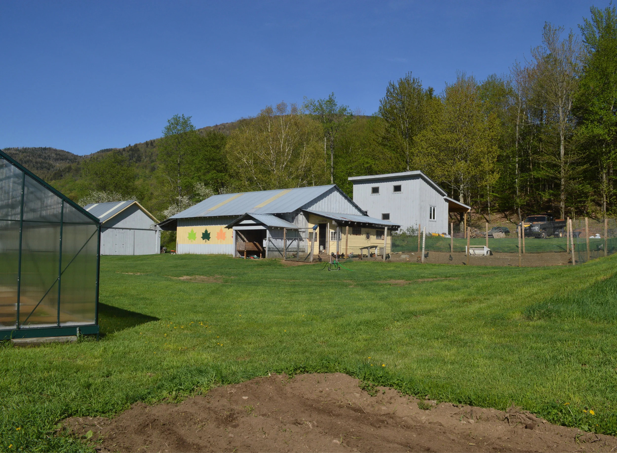Bedford Navigation Images_Shangri-La Farm Website_EGGS5.jpg
