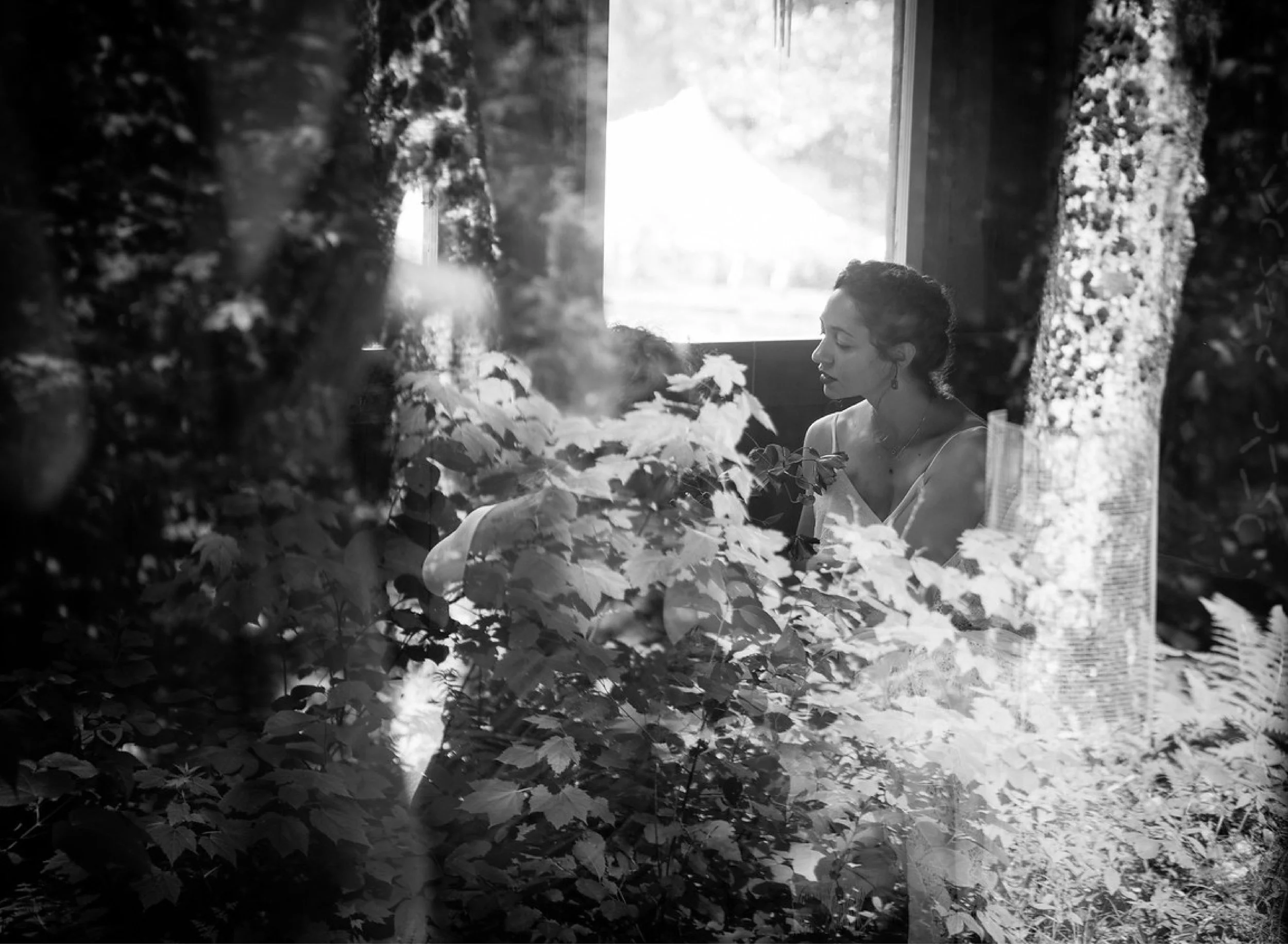 Bedford Navigation Images_Shangri-La Farm Website_WEDDING GALLERY_MORE.jpg
