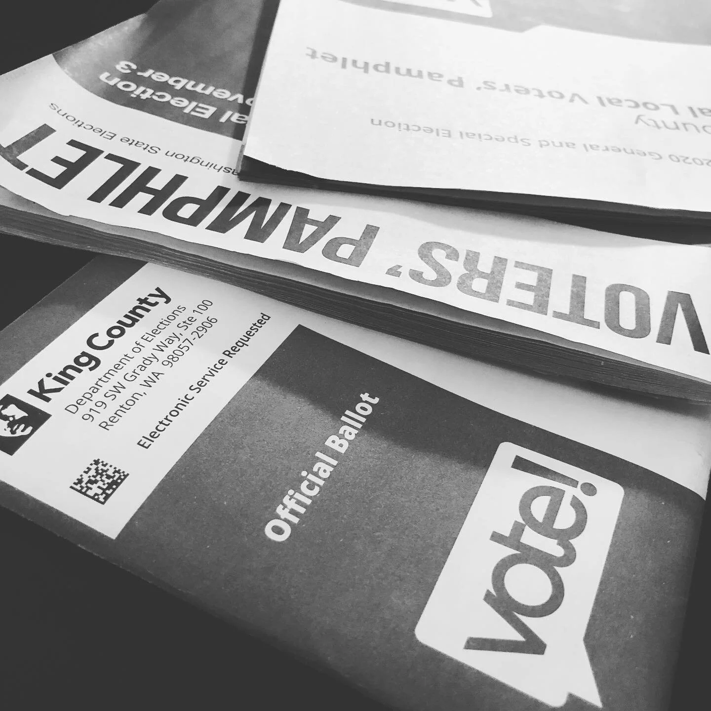 Waited for the arrival of my ballot like a kid waiting for Christmas. Never, ever have I been so excited to vote. The selections I make on this ballot are made thoughtfully, and with deep empathy for my fellow humans and a healthy measure of rage aga