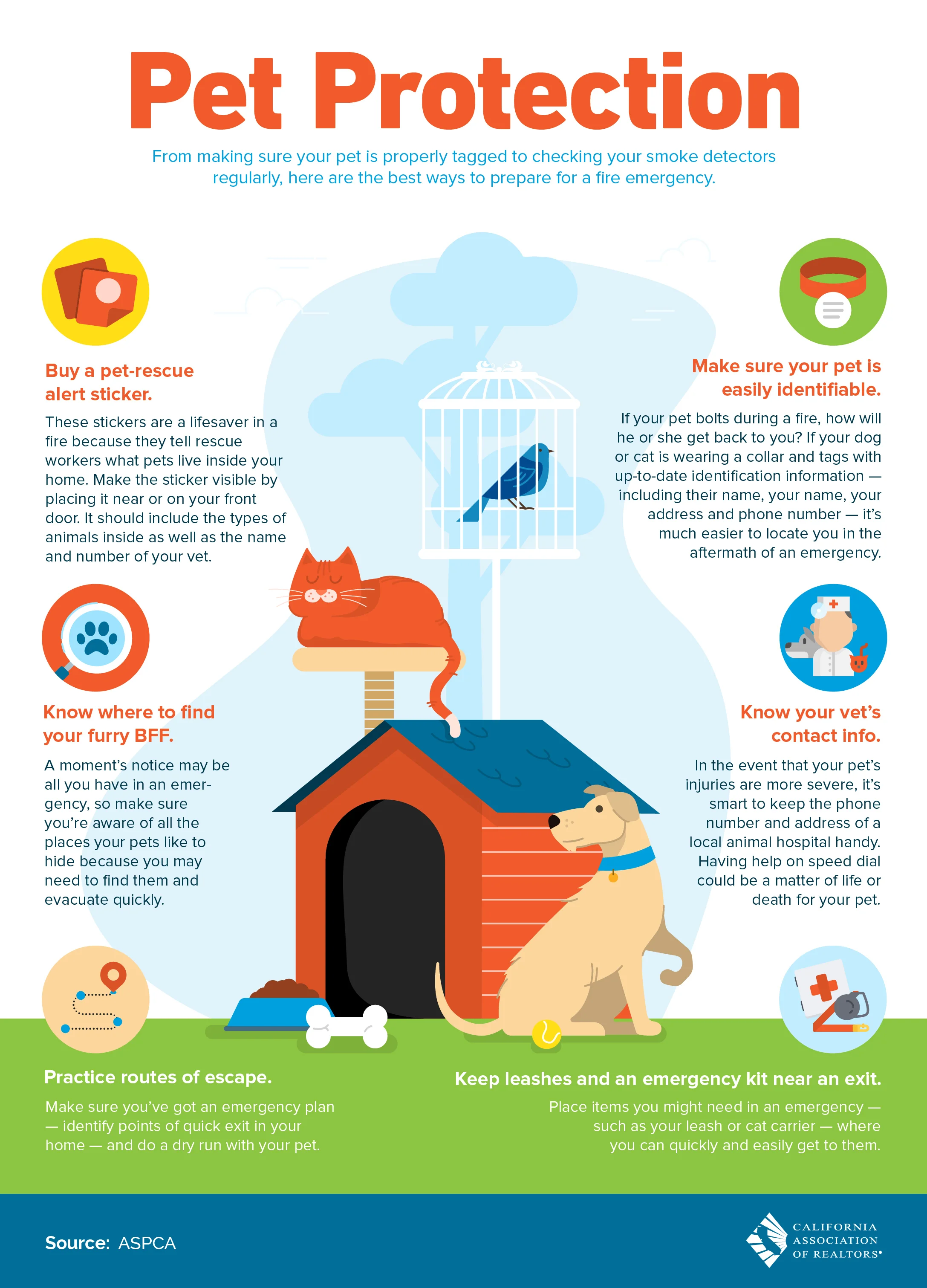 Pet Protection