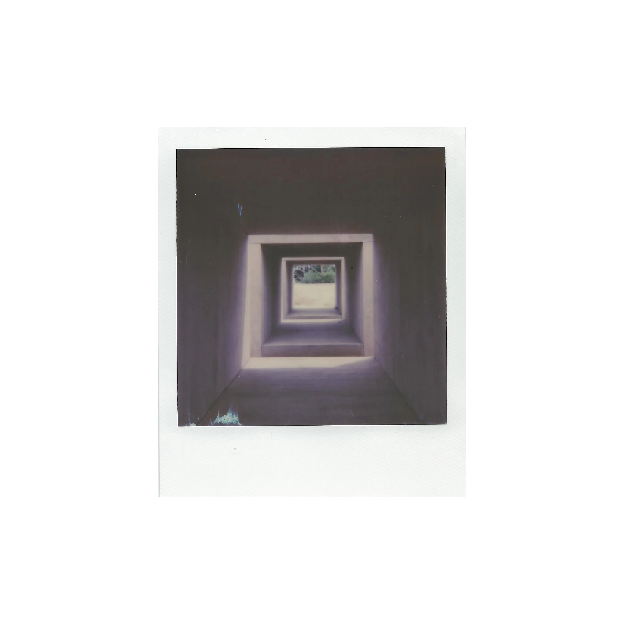 Polaroid 6sq.jpg