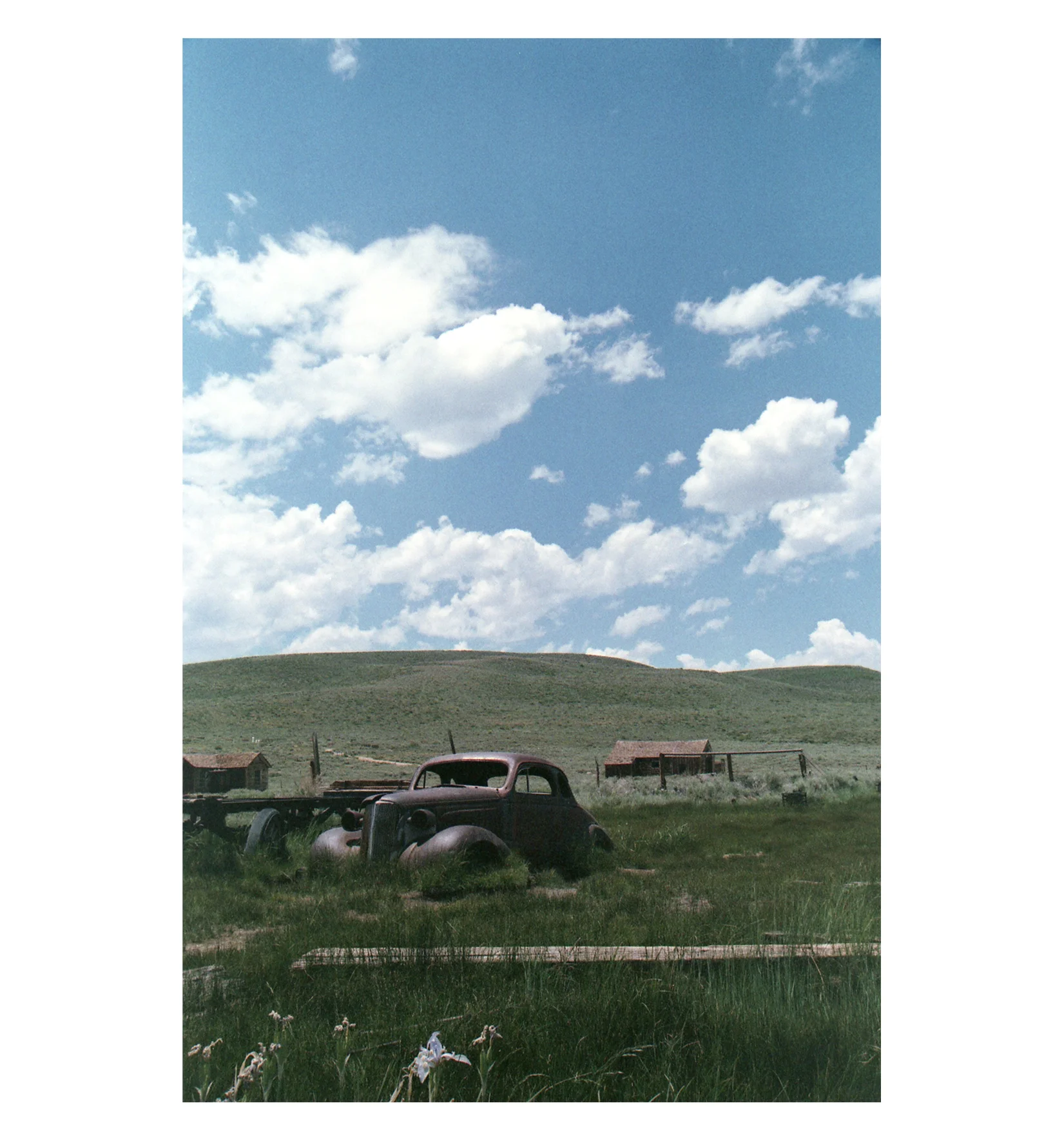 img124sq.jpg